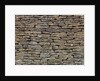 Stone wall background by Assaf Frank